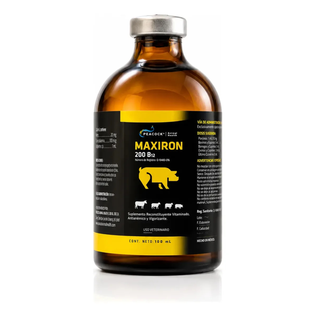 MAXIRON 200 B12